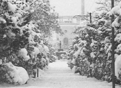 Прикрепленное изображение: GdpjiPnSpfY.jpg